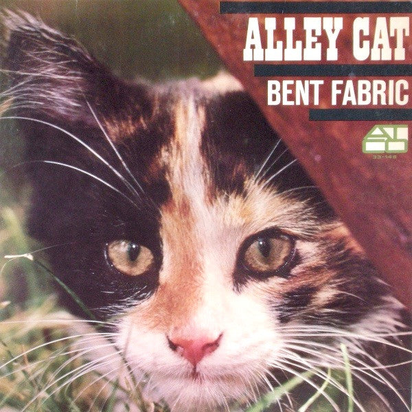 Alley Cat For Cheap